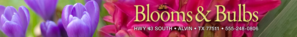 blooms & bulbs banner